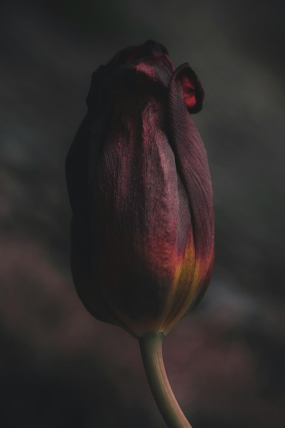 商业头条No.90